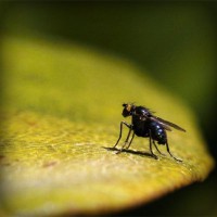 /album/aperlilock/photolia-a07-jpg/